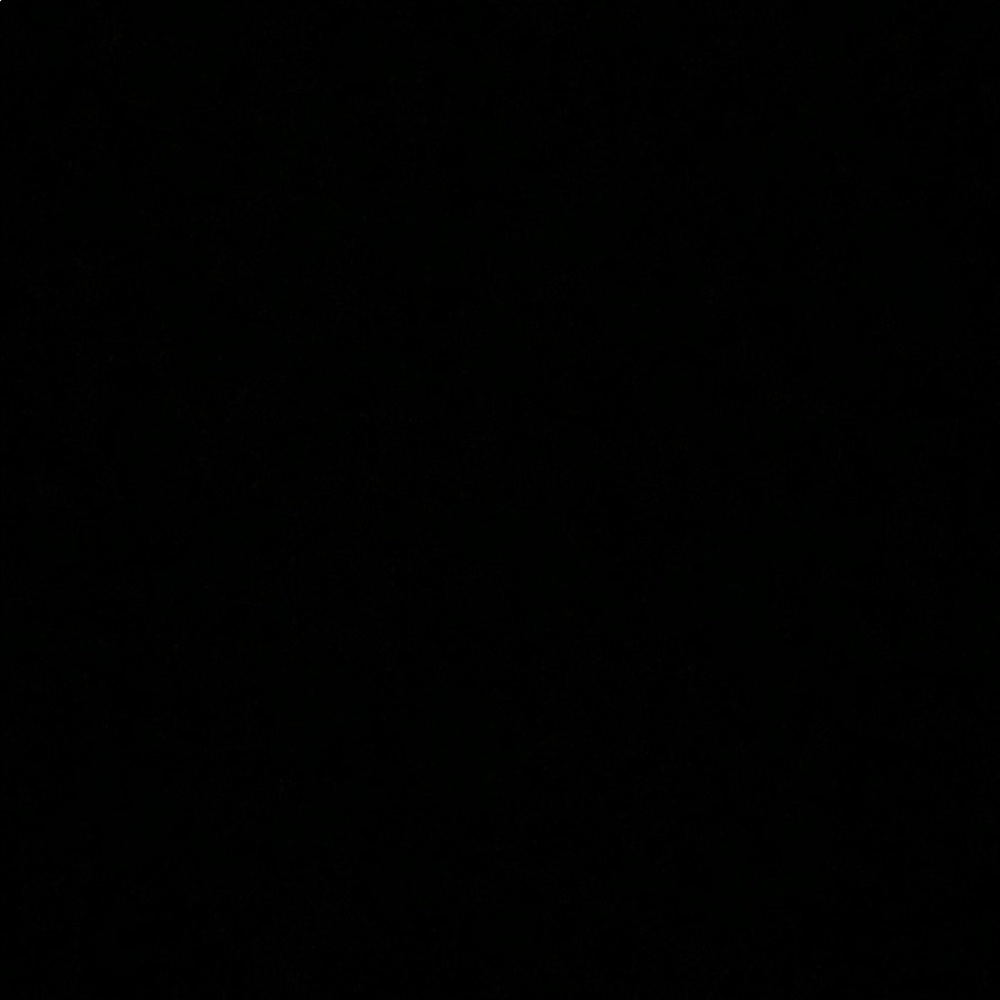 Meet your Posher, Revisson